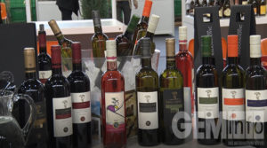festival-vina-1
