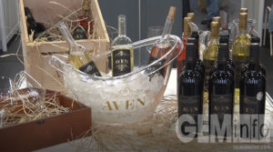 festival-vina-8