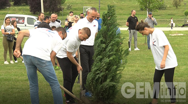Napredanjaci zasadili četinare u Gradskom parku
