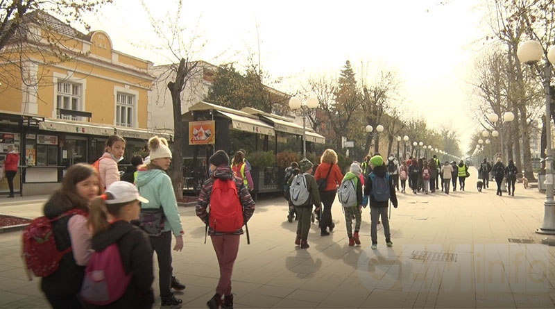 Planinarsko društvo "Vis"