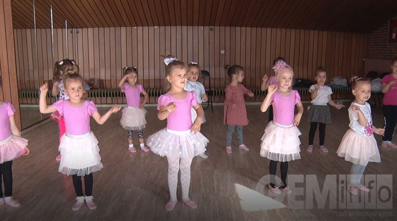 Plesni studio Srna