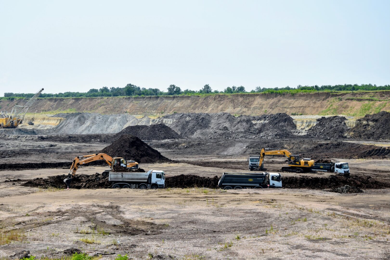 Foto/Aleksandar Rašin